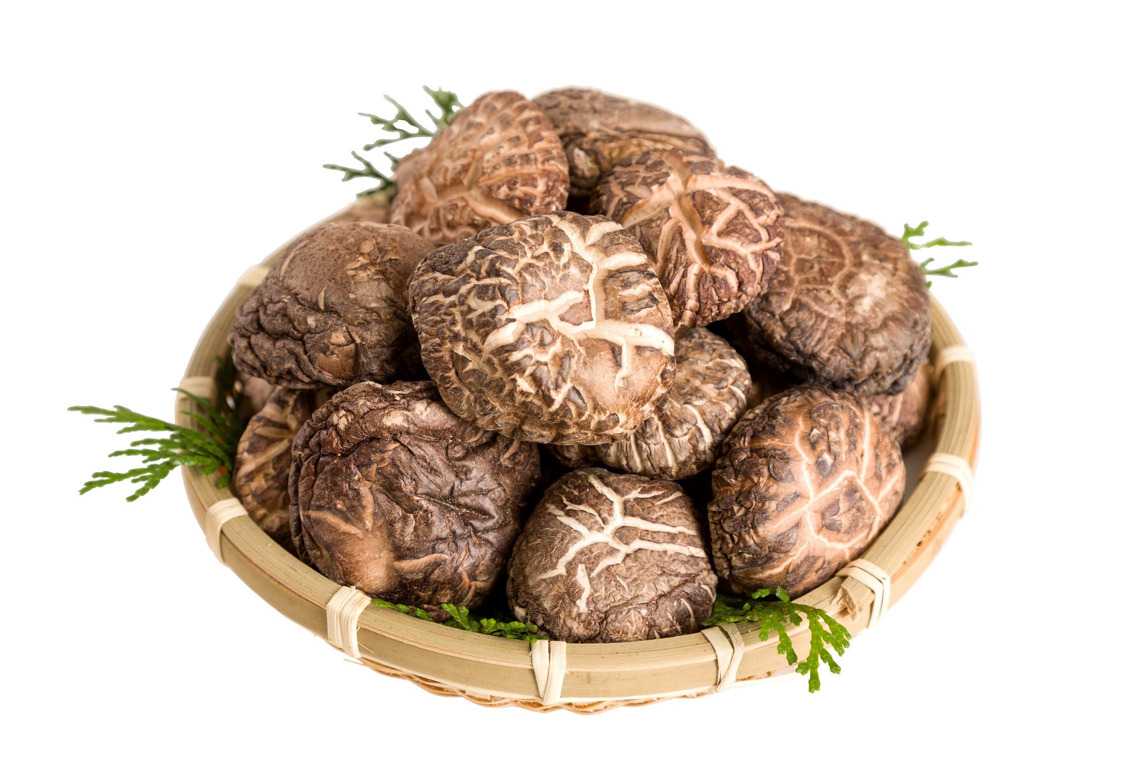 どどんこ Japanese Dried Shiitake - DONKO- 九州産椎茸どんこ | the rice