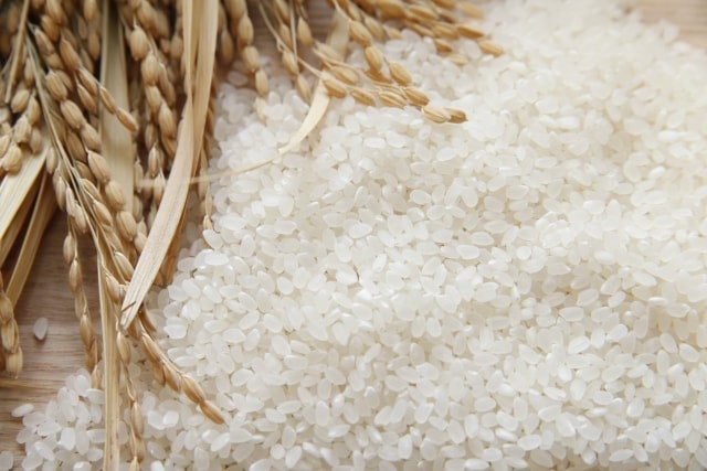 ライス* Shop All | the rice factory Honolulu online store